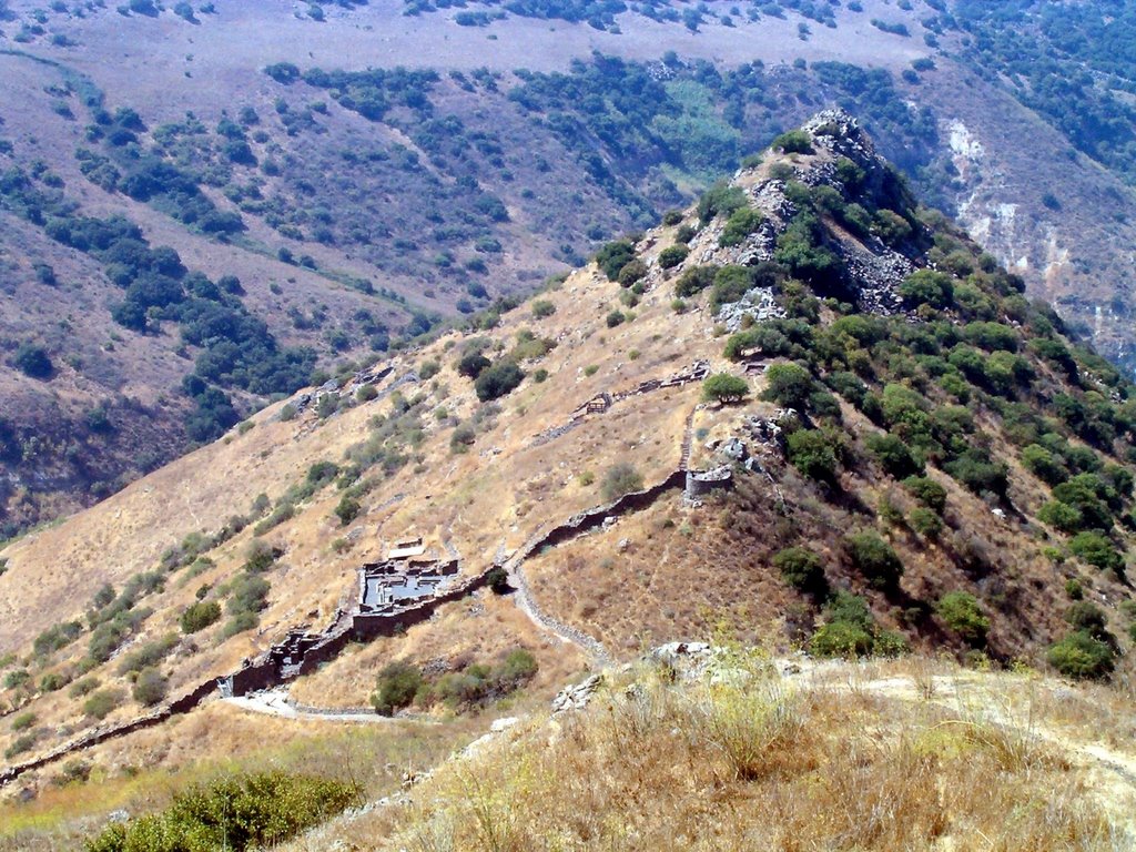 Golan heights by Konstantin Golovan