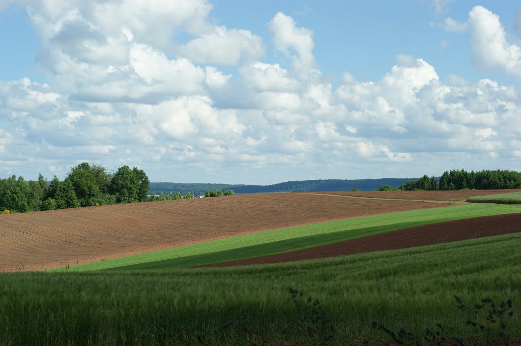 Colours of the Land - Farben des Landes by Anneliese Schumacher - VIEWS? No, thanks!