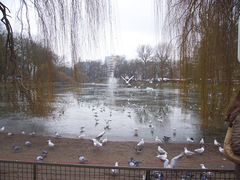 (BRU) Vista del Lago Ixelles - Bruxelles by brujita9