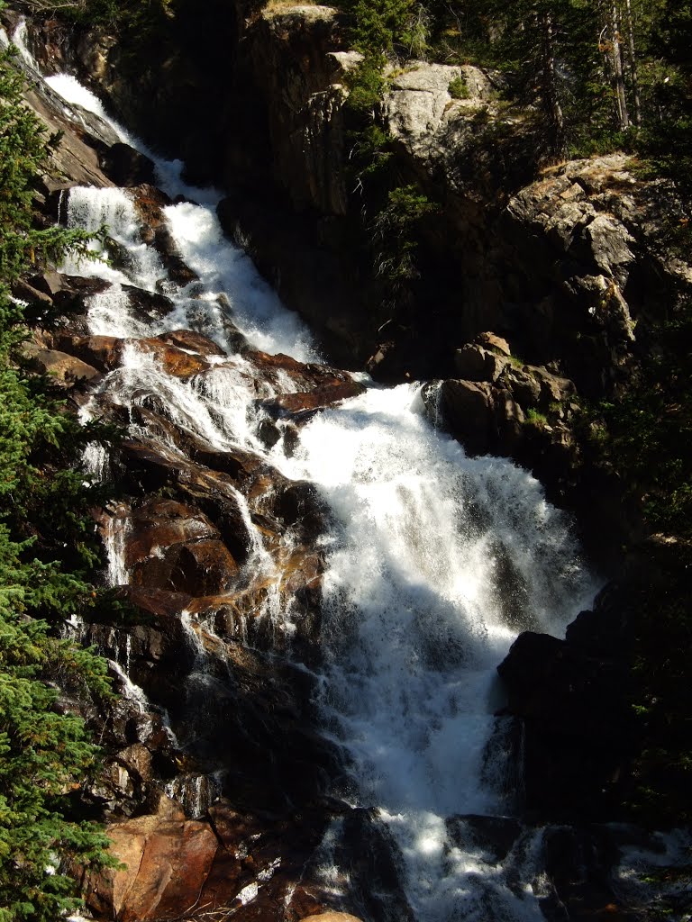 Hidden Falls by Dominic Caruso