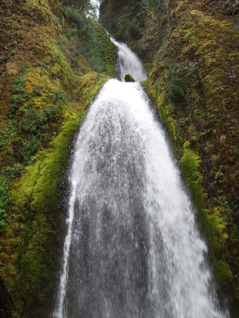 Wahclella Falls by Dominic Caruso