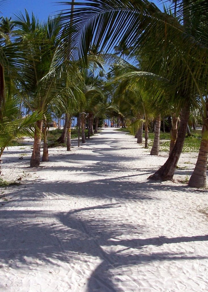 Path to the IFA beach by cold-gin