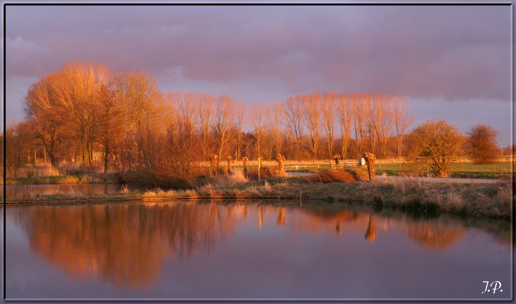 Evening Sun by Joerg Petersen