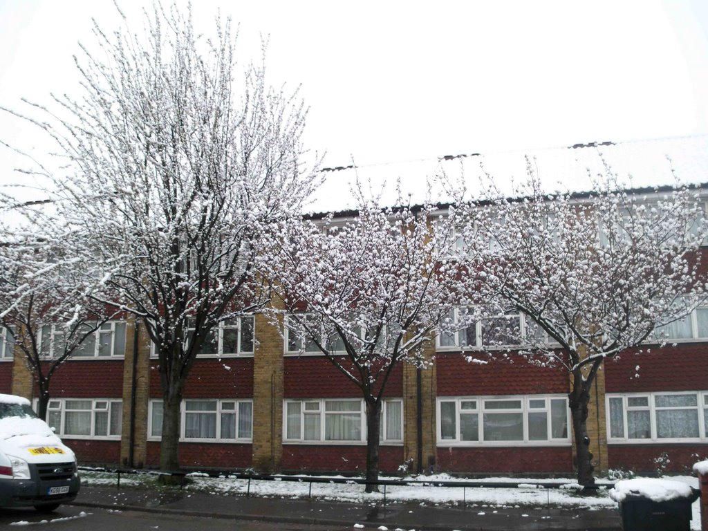 Flats, Mayday Road, Thornton Heath, Croydon, United Kingdom by Mohammad Aslam Javed Bhatti by Mohammad Aslam Javed…