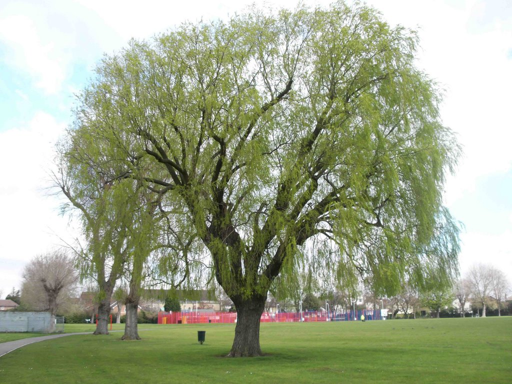 Recreation Ground, South Norwood, London, United Kingdom by Mohammad Aslam Javed Bhatti by Aslam Javed