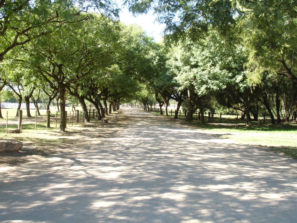 Parque da Harmonia, Porto Alegre, RS by Ronald Petry