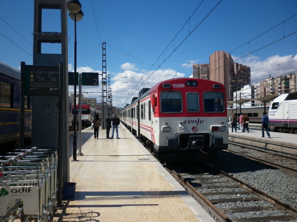 El tren en la estacion de tren de alicante by pintatrenes