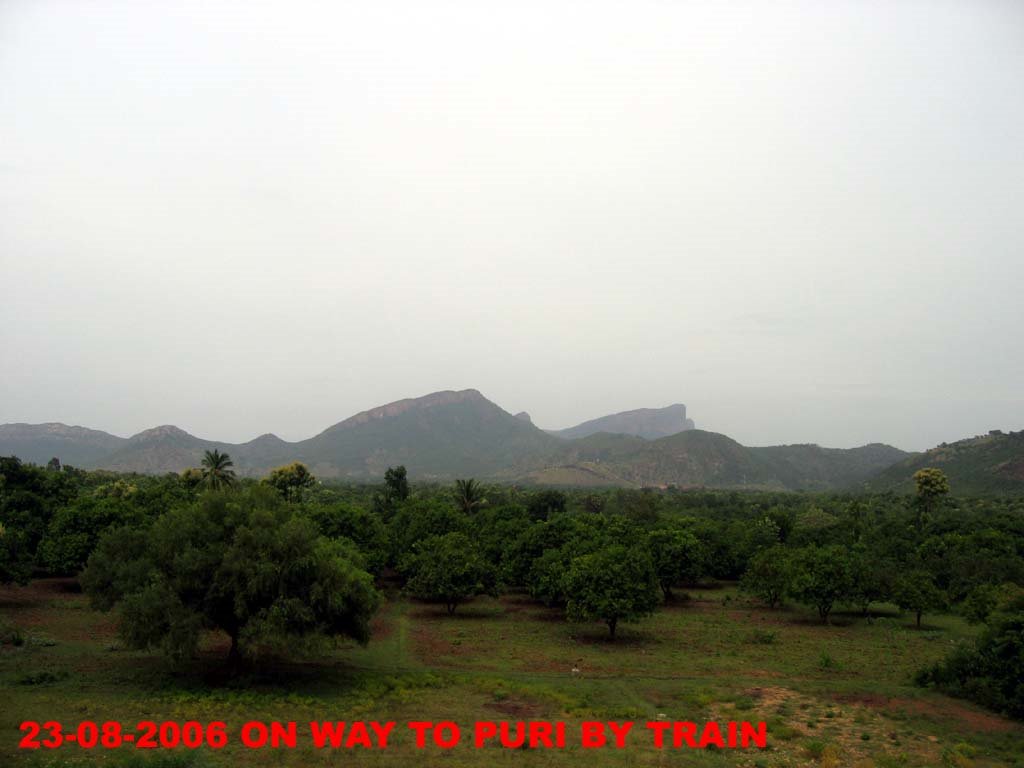 VEIW FROM TRAIN-ORISSA by rdbansiya