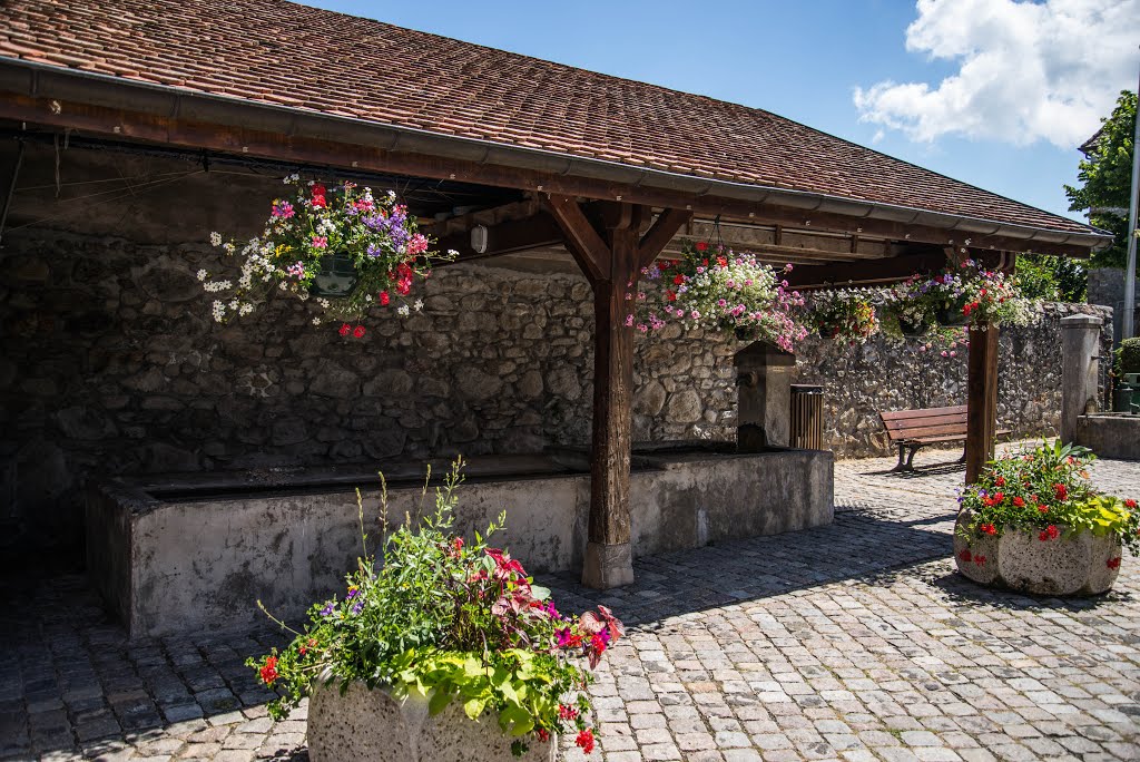 Le Lavoir de Nernier by Eric Hennemann CH