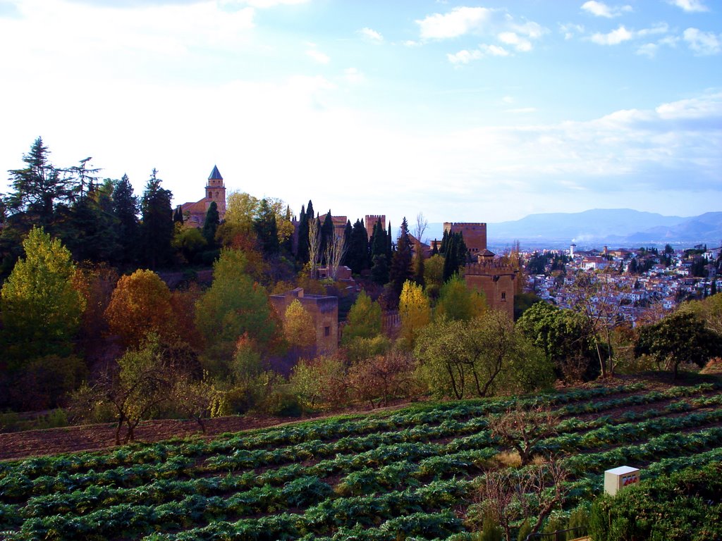 Jardines de La Alhambra-Granada by jenper