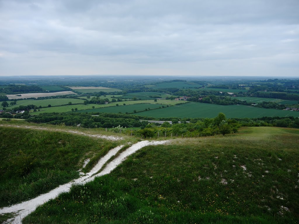 Beacon Hill, Eastern Side by xiod_crlx / dmitry gramoteyev