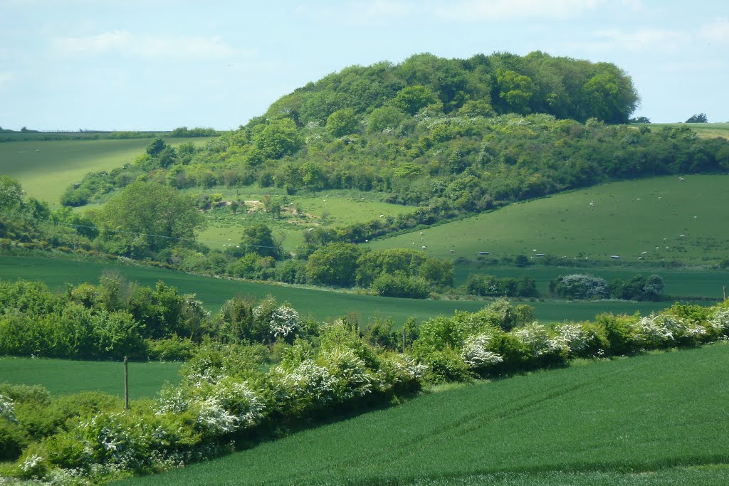 View from Quickswood by jayembee1969