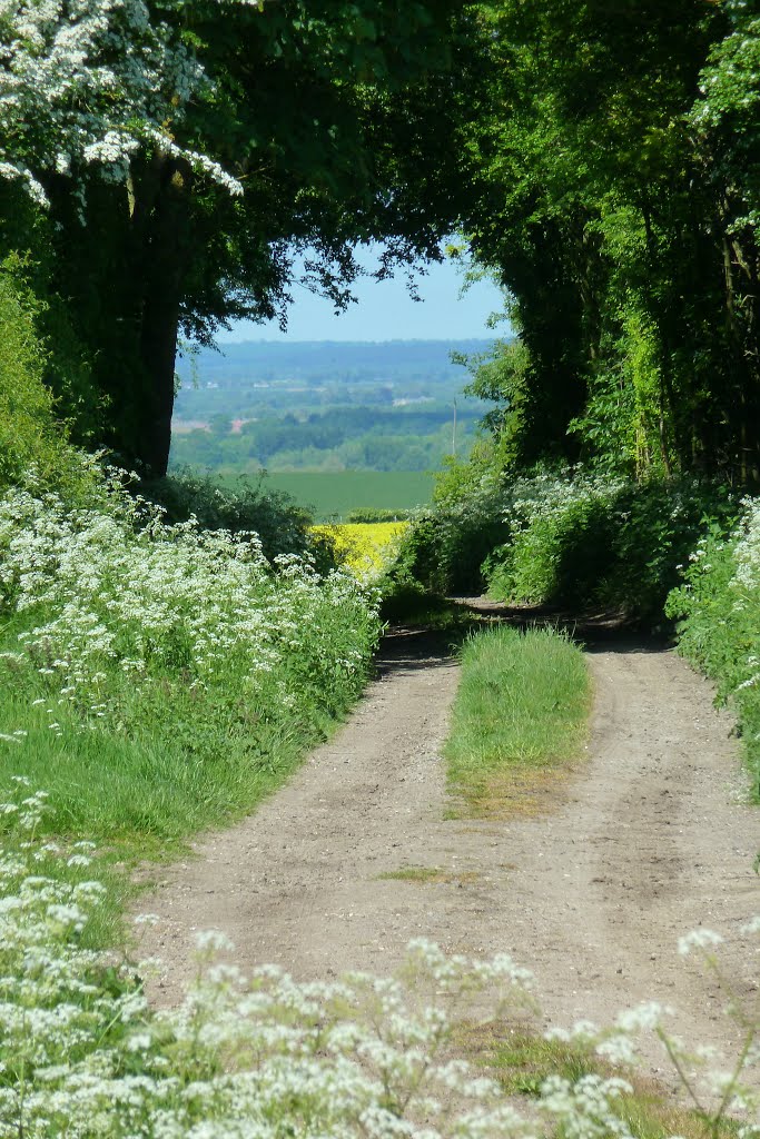 View near Quickswood by jayembee1969