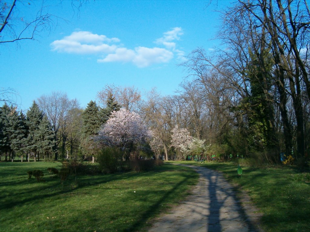 Herastrau park 2 by Luca Sironi