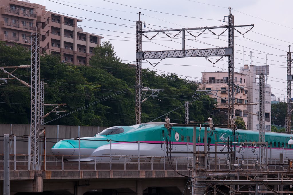 E5 Series Shinkansen / E5系新幹線 by Kangoo_