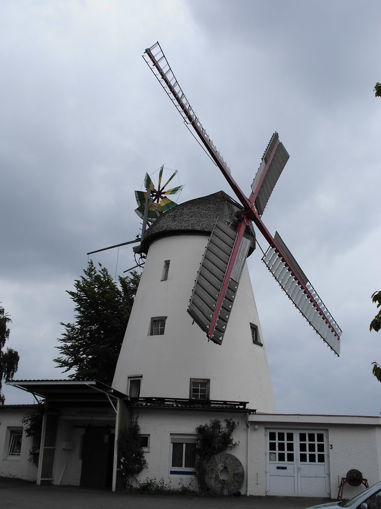 MOLINA DE VIENTO (1850) - An der Stemmer Mühle 3 - Stemmer - Minden - Westfalia - Minden - Alemania by inka-arte