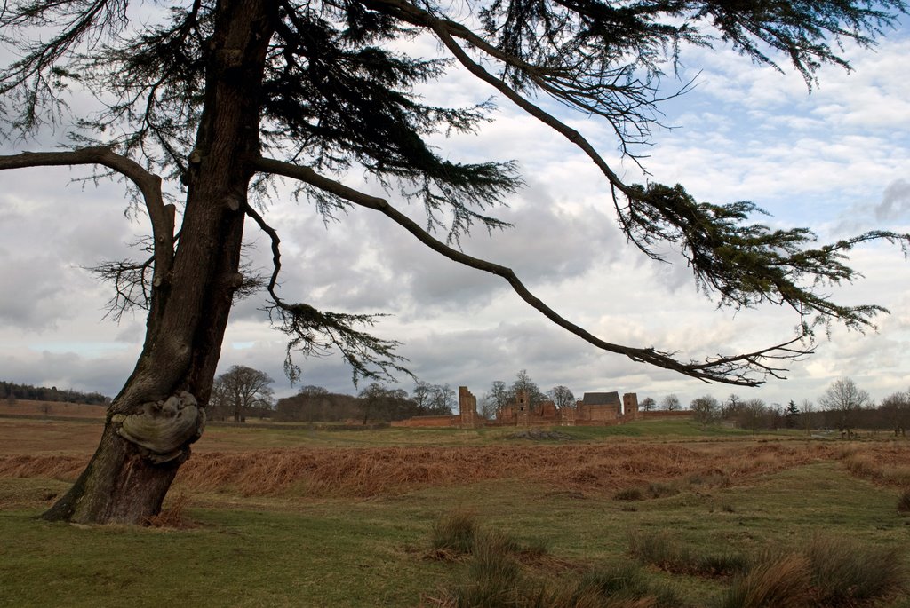 Bradgate Park by Steve Hey