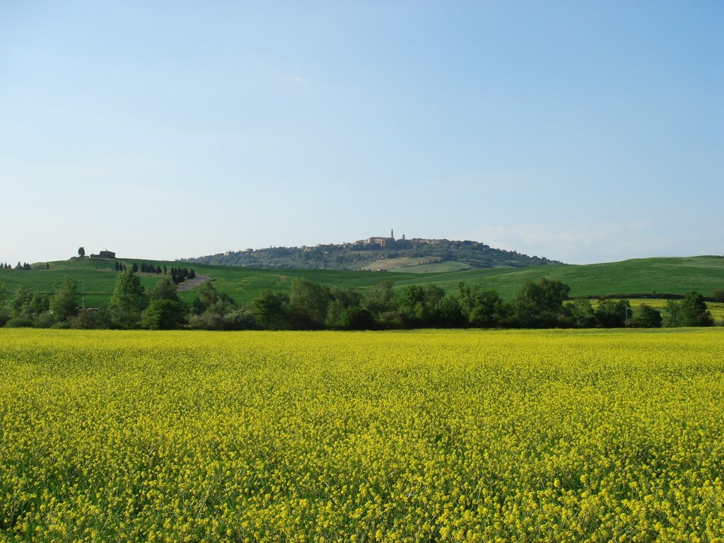 Pienza by paolochechi