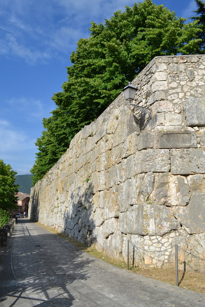 Mura poligonali di Alatri by Geosergio