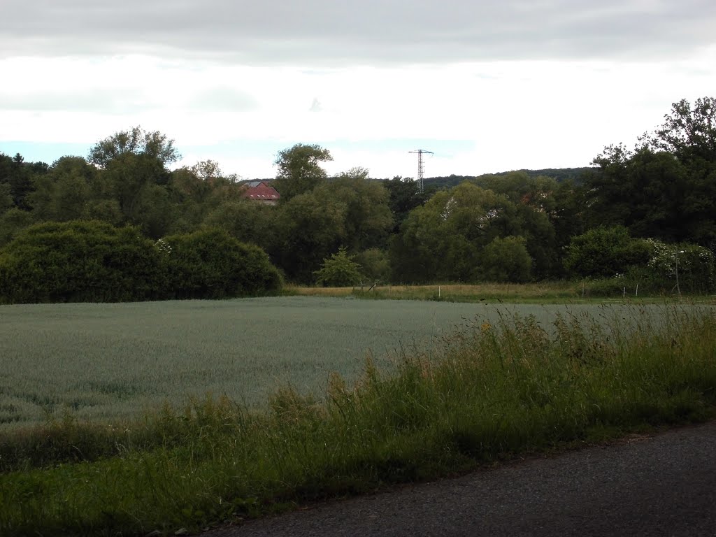 Kassel Radweg Fuldabrück Bergshausen 23.6.2013 by Buchautor u. Schriftsteller Winfried Schäfer 