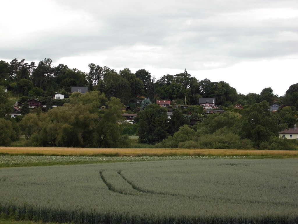 Kassel Radweg Fuldabrück Bergshausen 23.6.2013 by Buchautor u. Schriftsteller Winfried Schäfer 