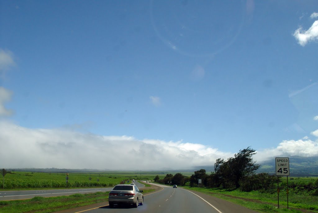 Haleakala Hwy, Maui by alvaro espinel