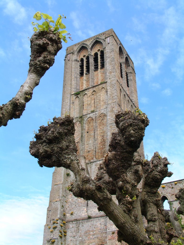 Onze-Lieve-Vrouwekerk by Peter van der Kruk