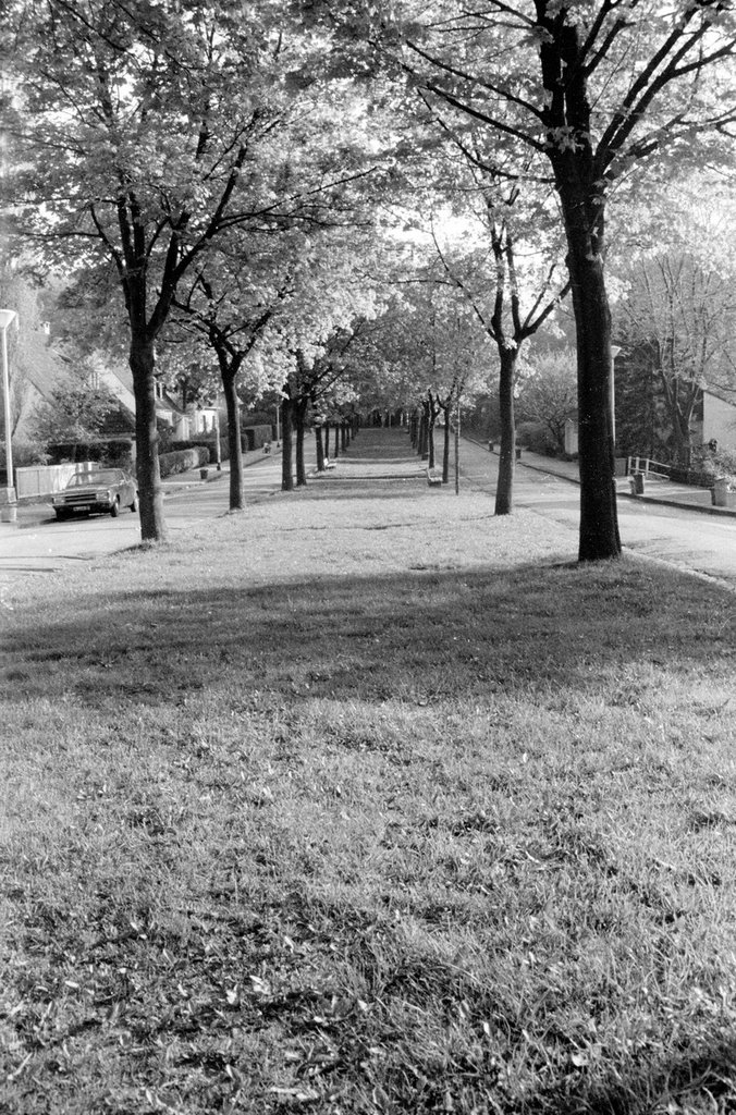 Friedrichsallee, 1979 by martingroth