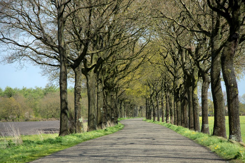 Noordoostpolder, Nederland by magda camff