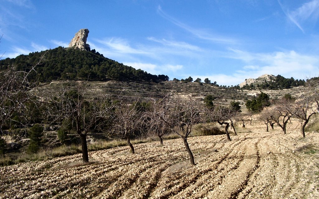 Petrer, 03610, Alicante, Spain by José María Sanz Fuen…