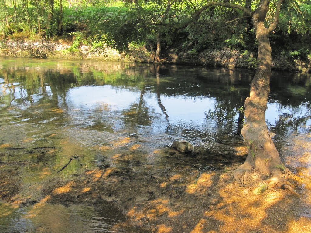 Rijeka Vrljika / Vrljika River by Jadranko Katavić