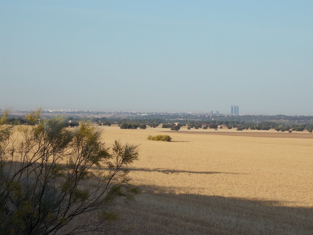 Vista de Madrid desde Silillos, Valdetorres de Jarama, Madrid.(Estepa32). by Estepa32