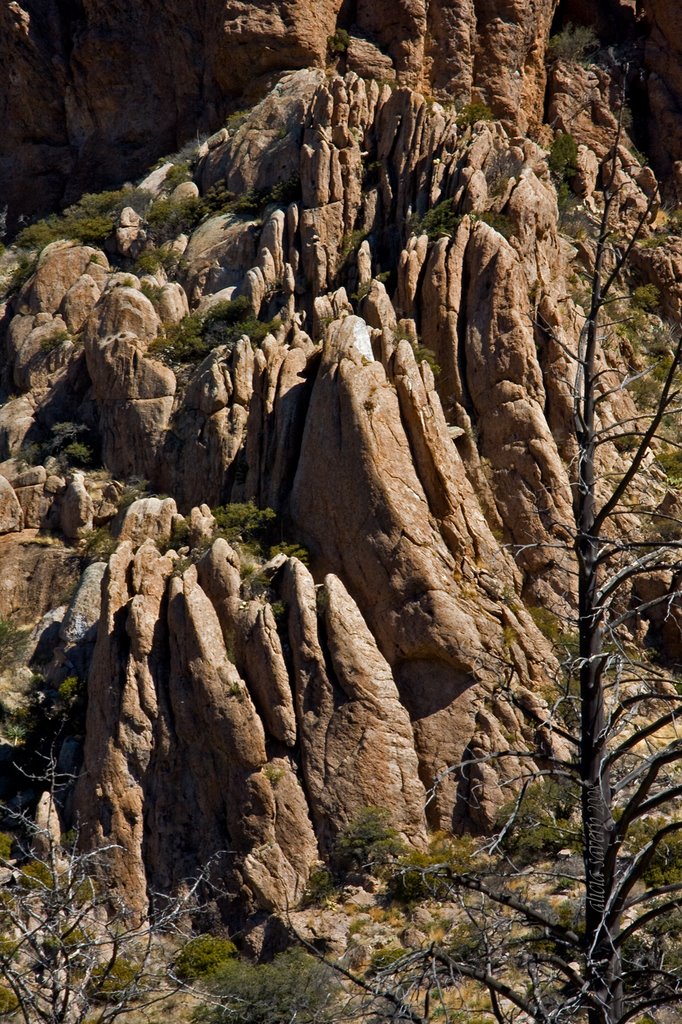 Chiricahua National Monument, AZ by aisavery