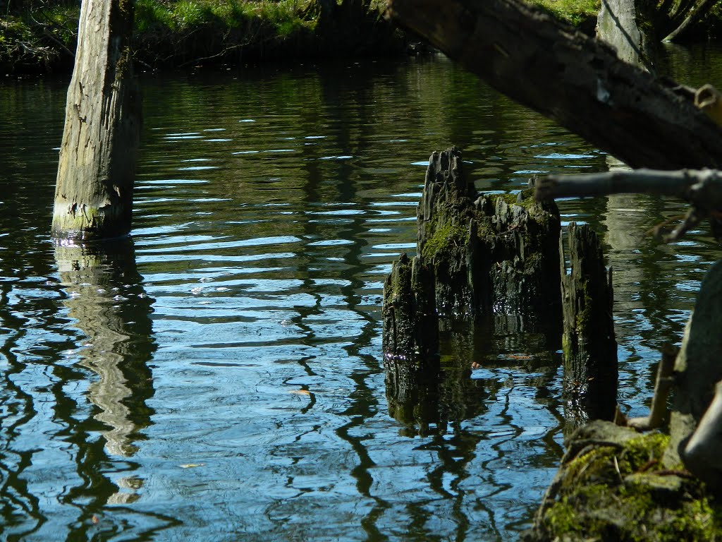 Impressionen am Wasserlauf by 63098MGH