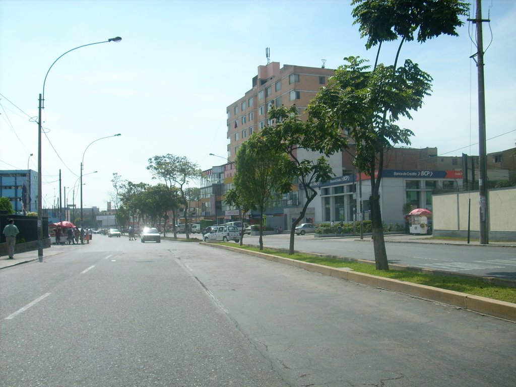 AV. BOLIVAR by NICOLASMIRANDA