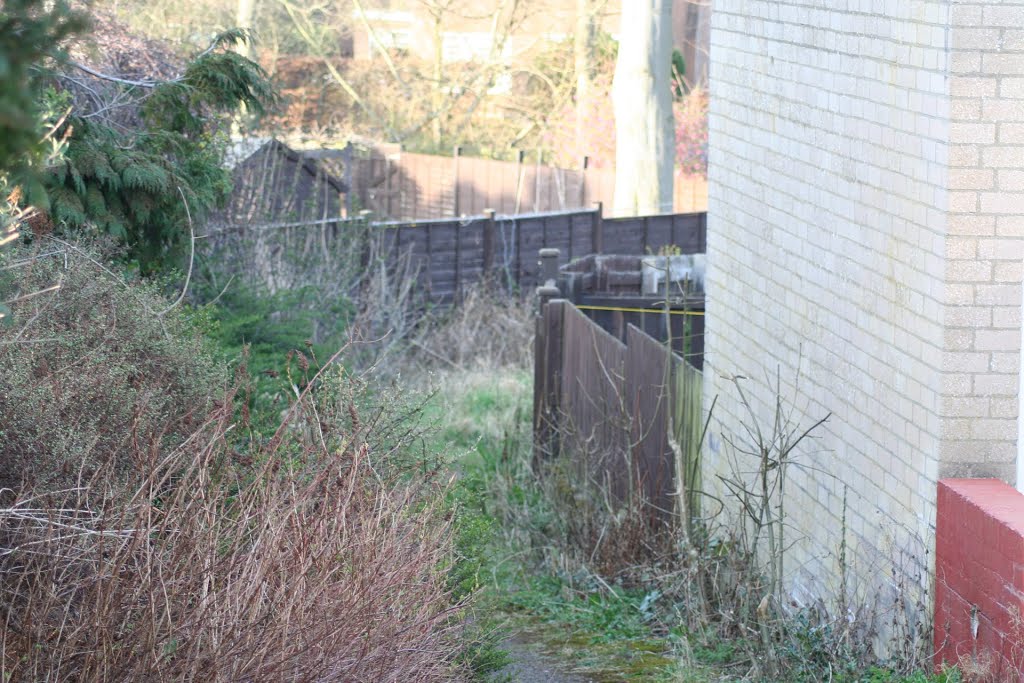 Path Behind Brookside by paulosbrumbos