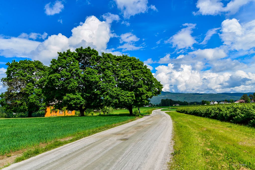 Flatinvegen, Bø i Telemark, Norge by GuoJunjun