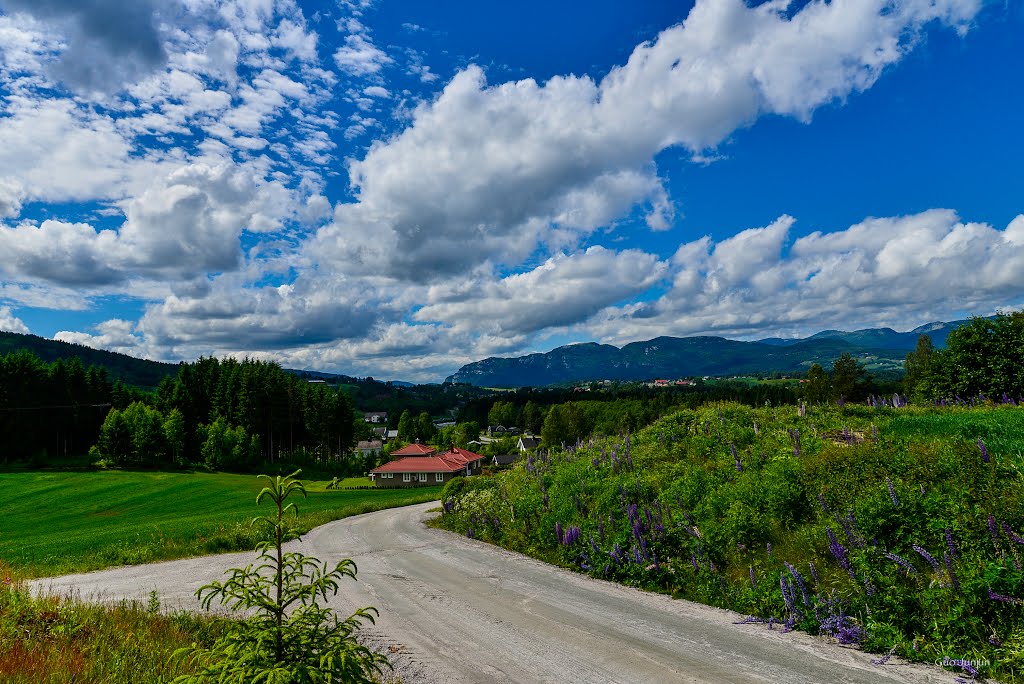 Flatinvegen, Bø i Telemark, Norge by GuoJunjun