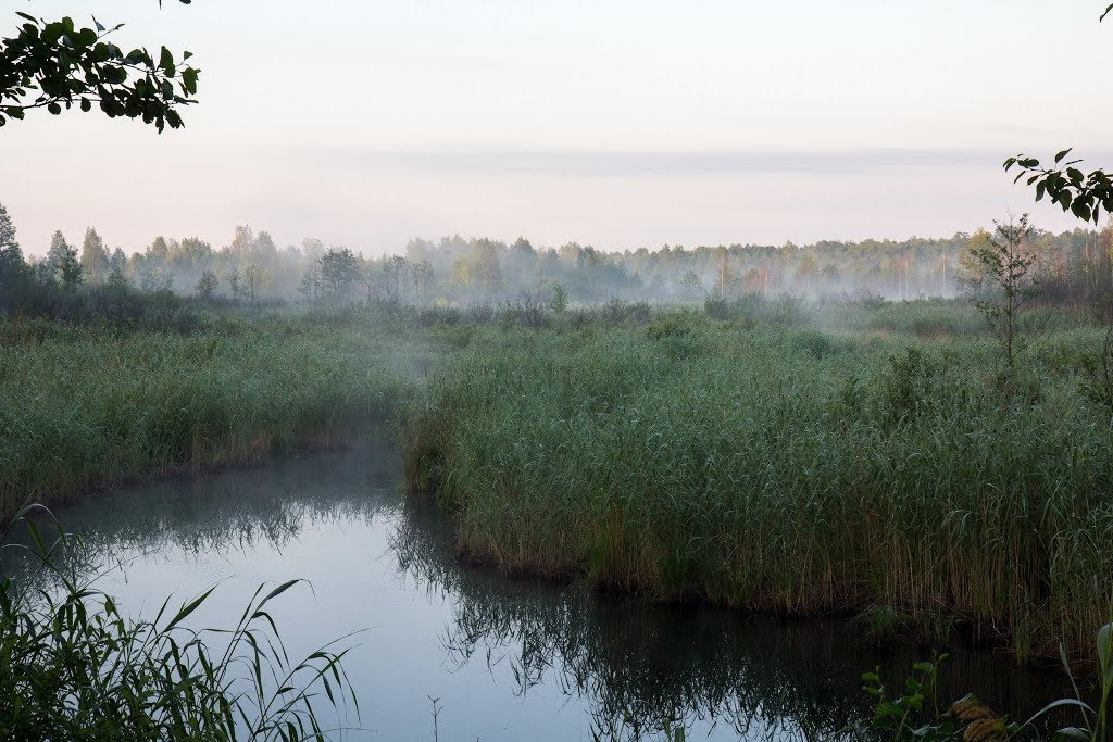 Foggy view to Vecslocene river by jsenniko