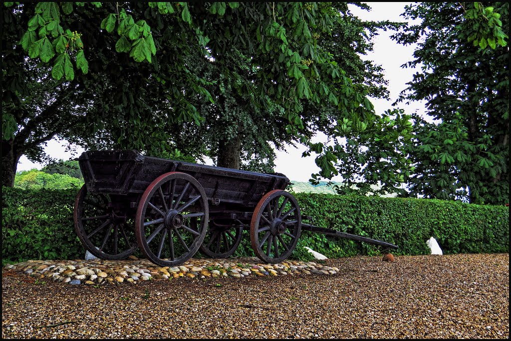 The wagon on jenle. by gos1959