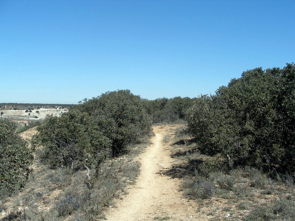 Ruta Valle de San Juan 72 by Alfonso Somoza de la…