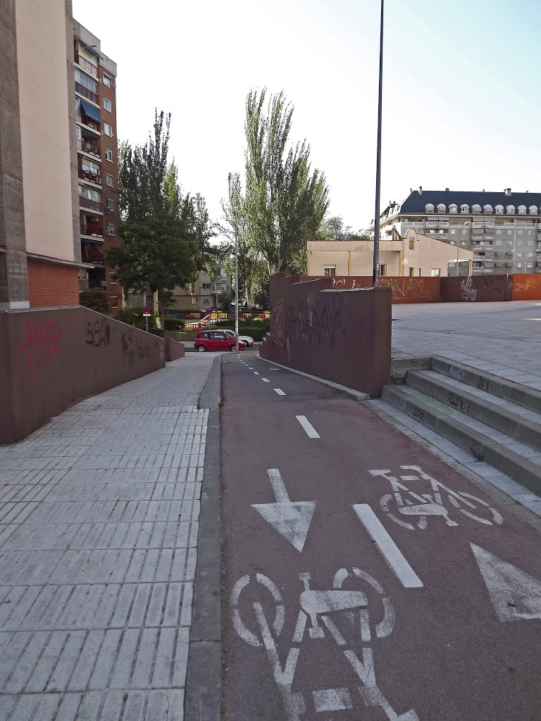 Carril bici a la altura de la calle de Méjico by serfuen