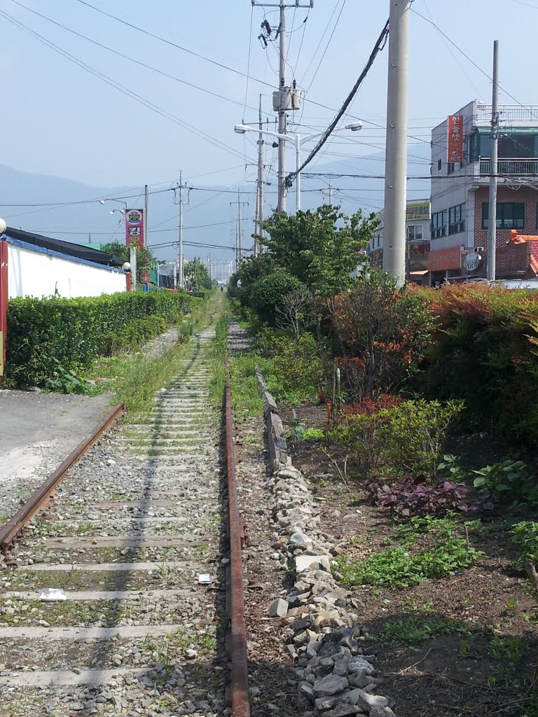 JINHAE OLD RAILWAY by usnimmik