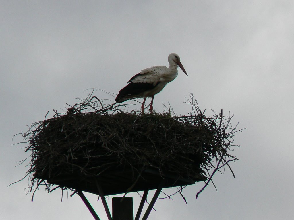 Der Storch ist da! by Bea und Uwe