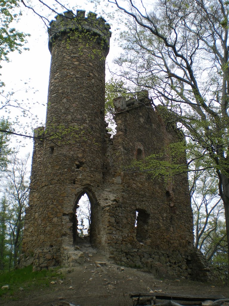 Ruiny zamku Księcia Henryka by OurPlaces