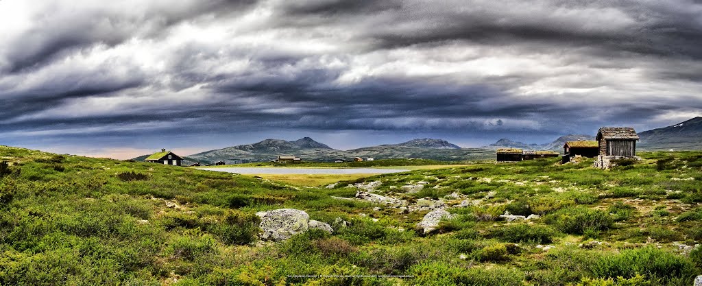 Rondane national park, Sel, Oppland, Norway by Vojtech Dvorak