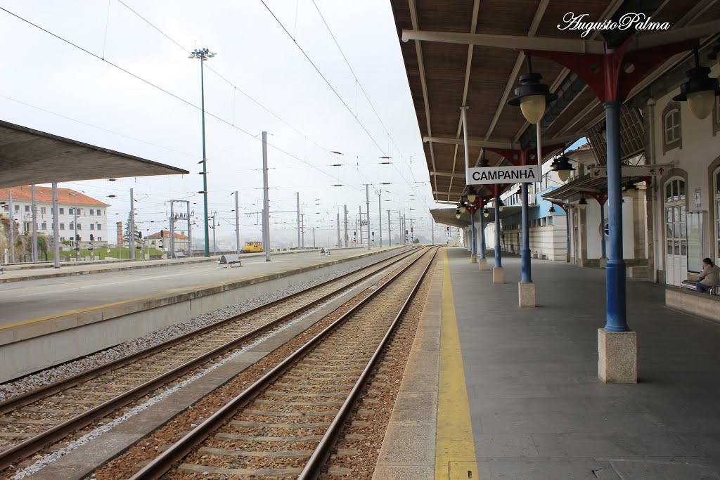 Estação de Campanhã, assim estava o Porto, quando por lá passei!.... by apalma