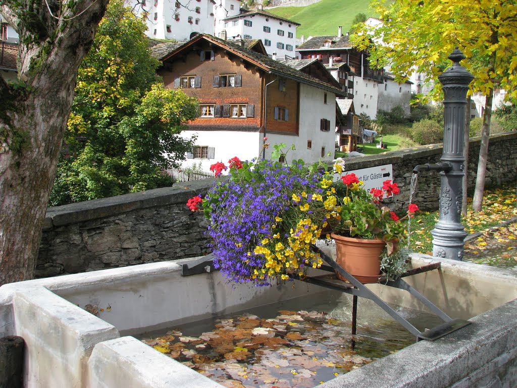 Brunnen beim Bodenhaus by tsimmen