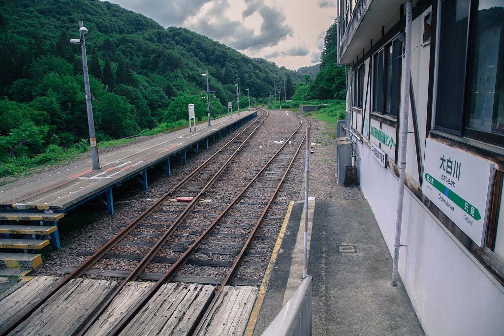 大白川駅（おおしらかわ）　JR只見線　新潟県魚沼市 by nyanta2030