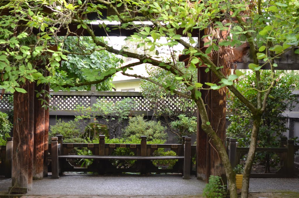 Courtyard at the Temple. by NorCal Tim